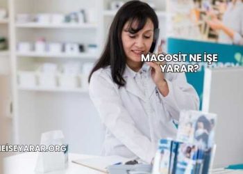 Magosit Ne İşe Yarar?