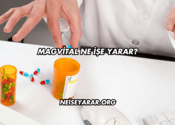 Magvital Ne İşe Yarar?