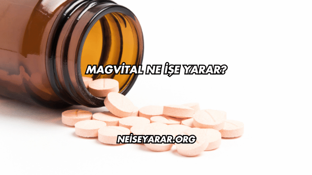 Magvital Ne İşe Yarar?