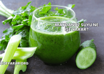 Maydanoz Suyu Ne İşe Yarar?