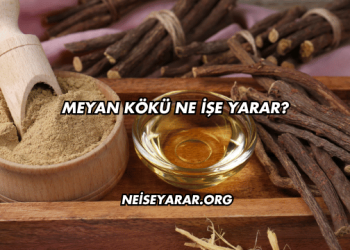 Meyan Kökü Ne İşe Yarar?