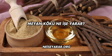 Meyan Kökü Ne İşe Yarar?