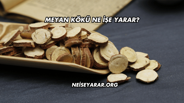 Meyan Kökü Ne İşe Yarar?