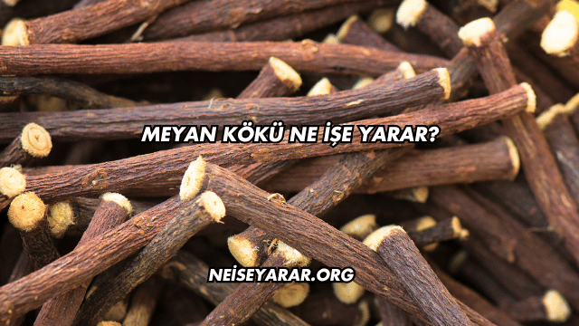 Meyan Kökü Ne İşe Yarar?