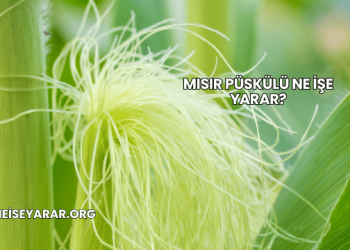 Mısır Püskülü Ne İşe Yarar?