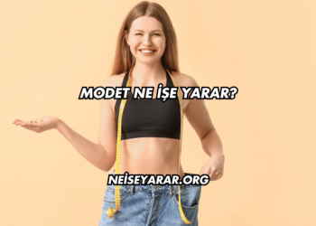 Modet Ne İşe Yarar?