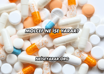 Molcef Ne İşe Yarar?
