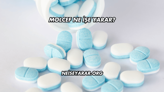 Molcef Ne İşe Yarar?