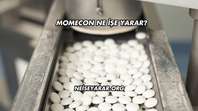 Momecon Ne İşe Yarar?