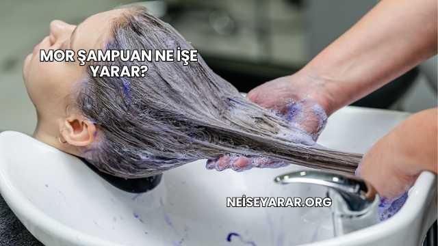 Mor Şampuan Ne İşe Yarar?
