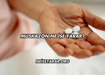 Muskazon Ne İşe Yarar?
