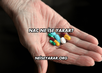 NAC Ne İşe Yarar?