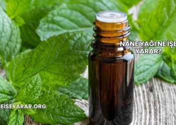 Nane Yağı Ne İşe Yarar?