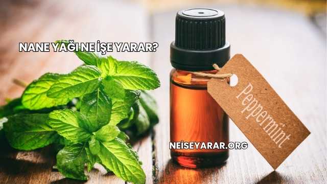 Nane Yağı Ne İşe Yarar?