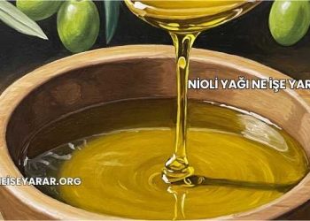 Nioli Yağı Ne İşe Yarar?