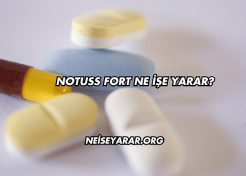 Notuss Fort Ne İşe Yarar?