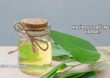 Okaliptus Yağı Ne İşe Yarar?