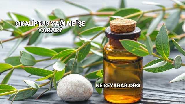 Okaliptus Yağı Ne İşe Yarar?