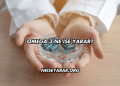 Omega 3 Ne İşe Yarar?