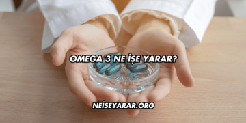 Omega 3 Ne İşe Yarar?
