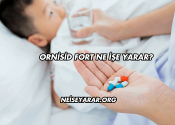 Ornisid Fort Ne İşe Yarar?