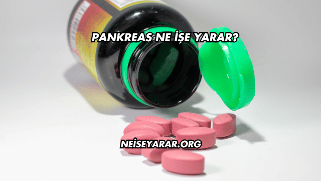Pankreas Ne İşe Yarar?