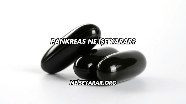 Pankreas Ne İşe Yarar?