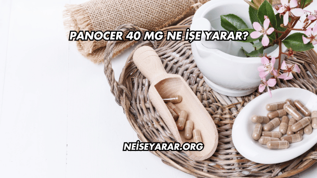 Panocer 40 Mg Ne İşe Yarar?