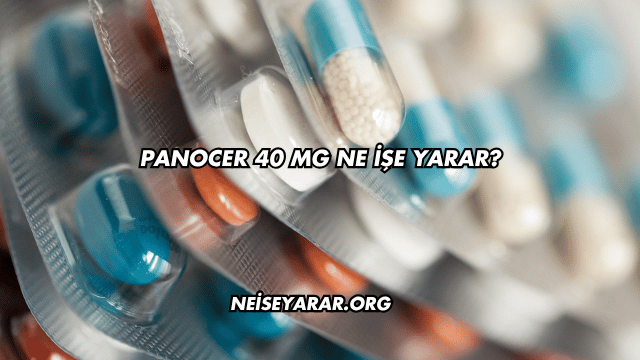 Panocer 40 Mg Ne İşe Yarar?