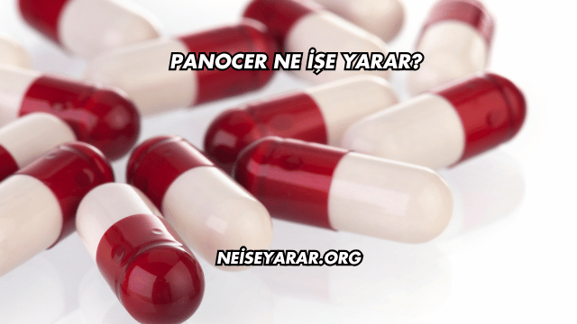 Panocer Ne İşe Yarar?