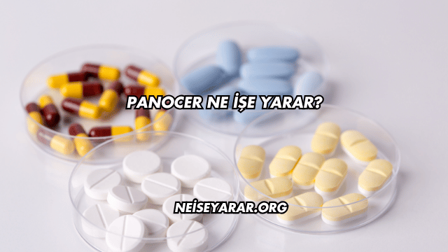 Panocer Ne İşe Yarar?