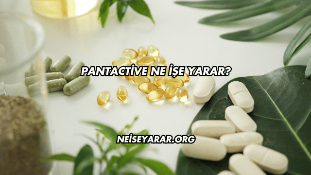 Pantactive Ne İşe Yarar?