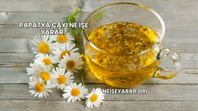 Papatya Çayı Ne İşe Yarar?