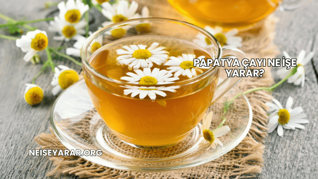 Papatya Çayı Ne İşe Yarar?