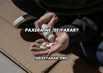 Paxera Ne İşe Yarar?