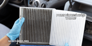 Polen Filtresi Ne İşe Yarar?