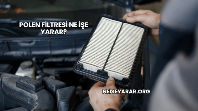 Polen Filtresi Ne İşe Yarar?