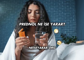 Prednol Ne İşe Yarar?