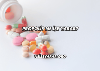 Propolis Ne İşe Yarar?