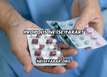 Propolis Ne İşe Yarar?