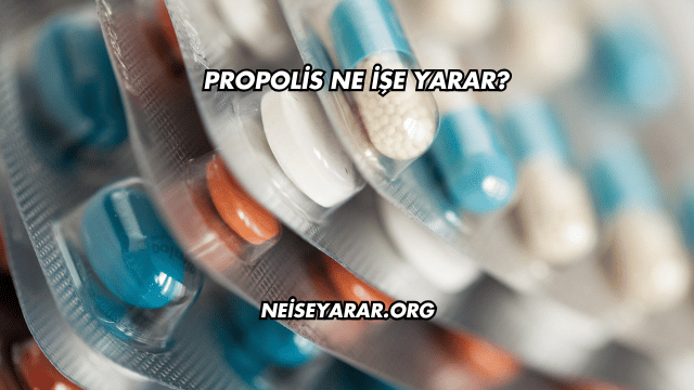 Propolis Ne İşe Yarar?