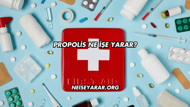 Propolis Ne İşe Yarar?