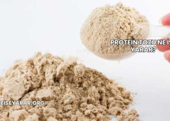 Protein Tozu Ne İşe Yarar?