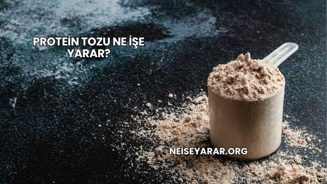 Protein Tozu Ne İşe Yarar?