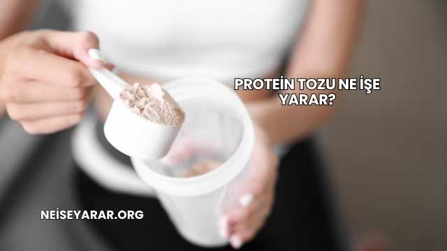 Protein Tozu Ne İşe Yarar?