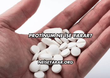 Protinum Ne İşe Yarar?