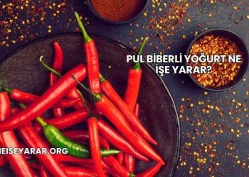 Pul Biberli Yoğurt Ne İşe Yarar?