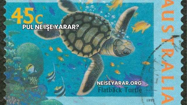 Pul Ne İşe Yarar?