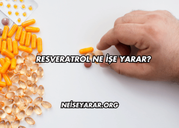 Resveratrol Ne İşe Yarar?