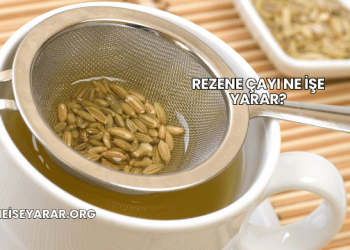 Rezene Çayı Ne İşe Yarar?